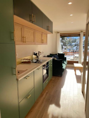 Pieds des pistes, 2 alpes, appartement avec très grande terrasse